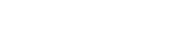 Horizontal logo White